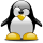 wiki:icons:tux-40x40.png