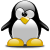 wiki:icons:tux-50x50.png